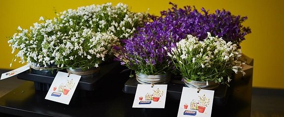 Кейс-завтрак «Как вырастить таланты для своей компании» Кейс-завтрак «Как вырастить таланты для своей компании»